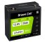 Green Cell CUBE LiFePO4 Batteri 20Ah 12.8V 256Wh LFP litiumbatteri 12V för Traktorer, Gräsklippare, Elfordon, Rullstolar