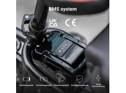 GC Silverfish batteri för Ebike elcykel med en 24V 11,6Ah 280Wh Silverfish laddare, inklusive för Prophete. polsk produktion.